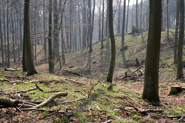 Killikus&reg; Fotographie